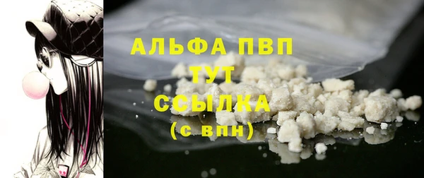 спиды Ладушкин