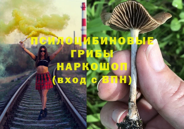сатива Нижний Тагил