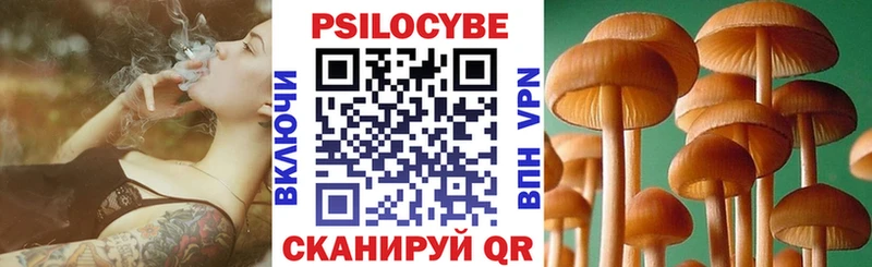мега онион  Островной  Галлюциногенные грибы GOLDEN TEACHER  купить наркотики сайты 