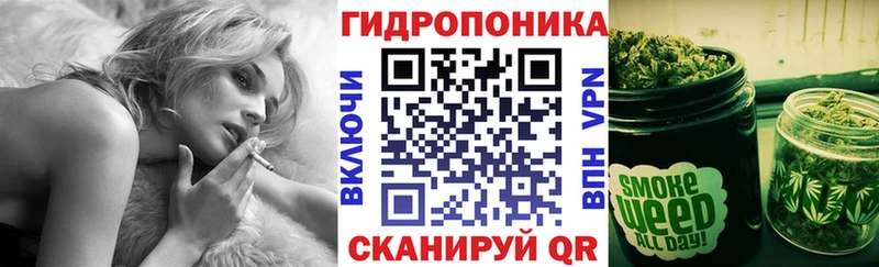 где купить наркотик  Островной  блэк спрут ССЫЛКА  Бошки марихуана сатива 